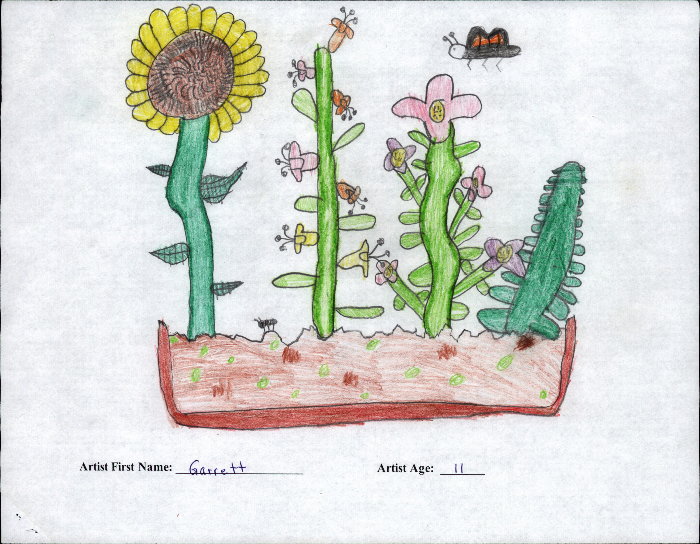Colored pencil drawing of a flower bed with a tall sunflower, blossoms and leaves, and insects flying above.